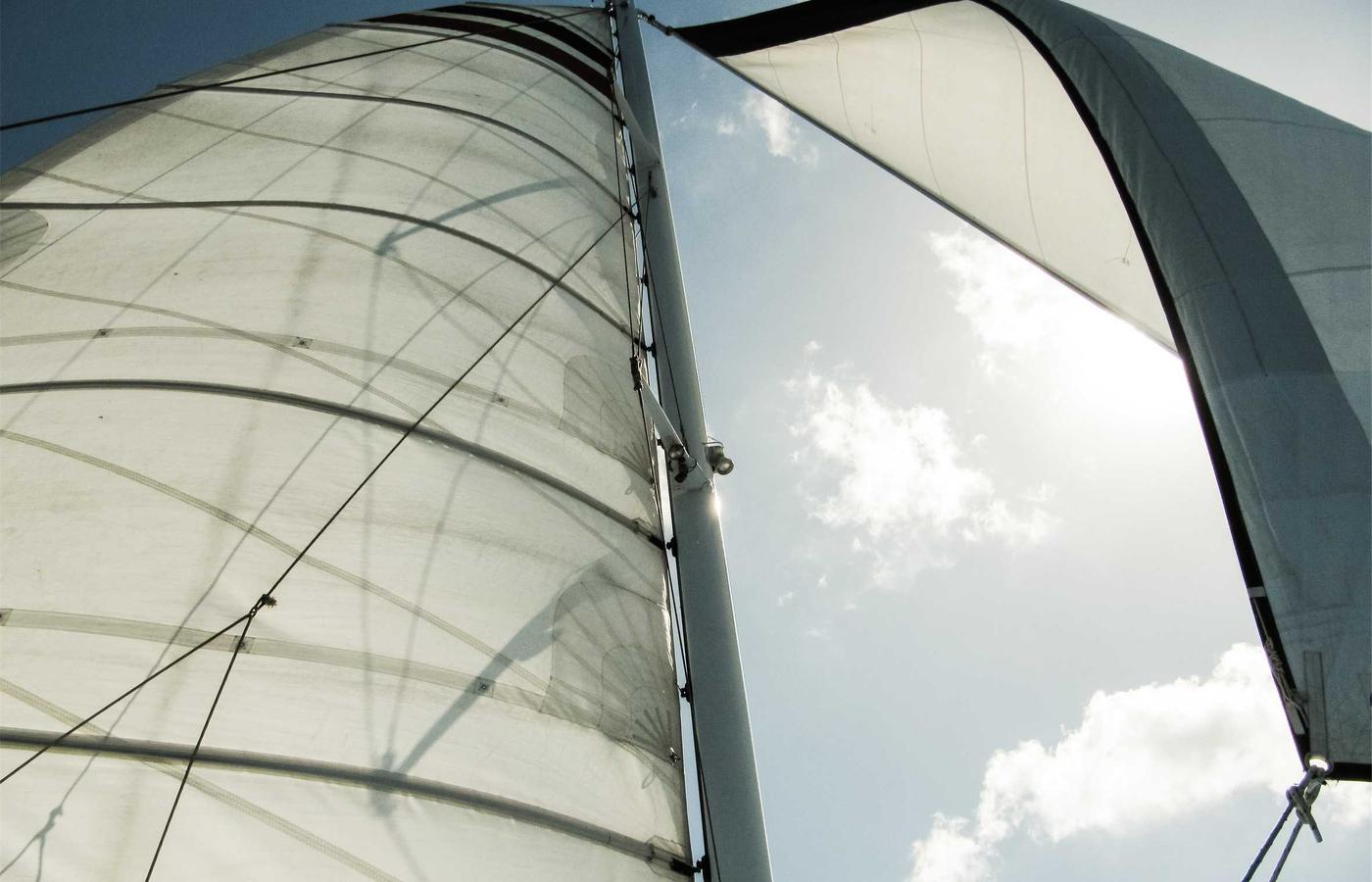 Portrait of Michael Vance